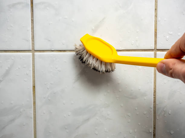 Best Mold Testing  in Medford Lakes, NJ
