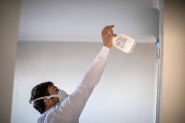 Best Certified Mold Removal  in Medford Lakes, NJ