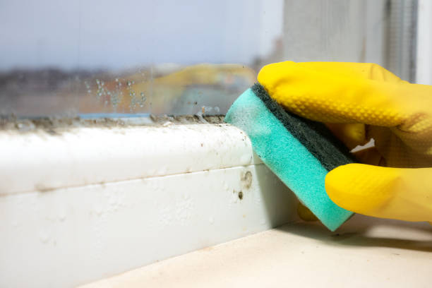 Best Mold Testing  in Medford Lakes, NJ