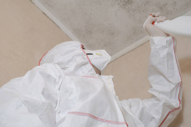 Home Mold Removal in Medford Lakes, NJ